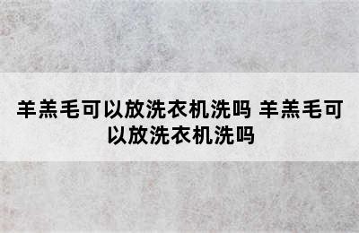 羊羔毛可以放洗衣机洗吗 羊羔毛可以放洗衣机洗吗